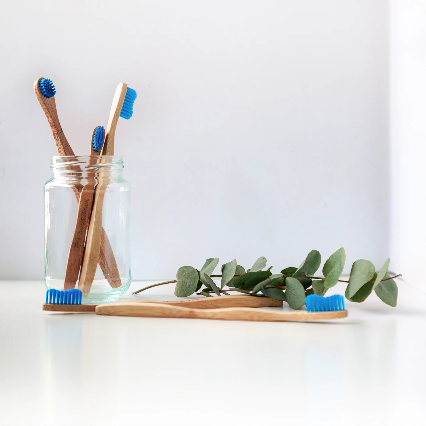 Placeholder still life photograph of toothbrushes in a glass