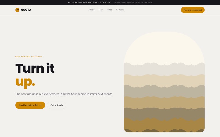 Organic curves sample website for NOCTA, a placeholder music artist