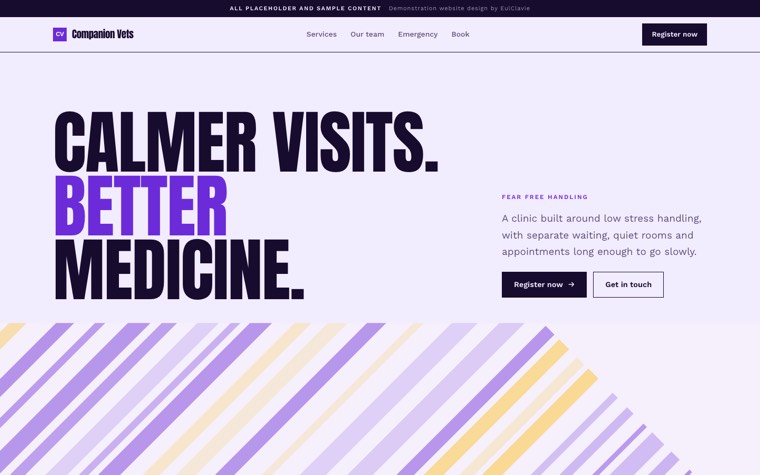 Diagonal bands sample website for Companion Vets, a placeholder veterinary clinic